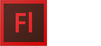 Adobe Flash Training